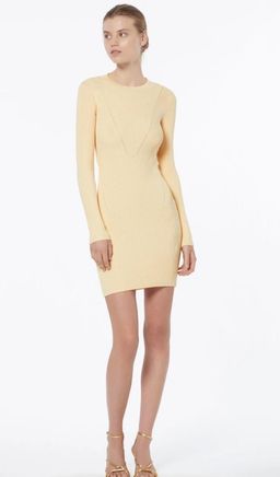Manning Cartell Clause Knit mini dress for rent on The Volte - image 4