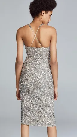 Sage Sleevless Dress in Silver for rent on The Volte - image 2