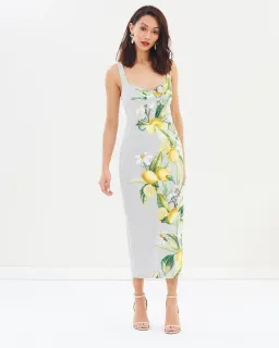 Pasduchas Citrus Brassiere Midi Dress Print Size 10 for rent on The Volte - image 1