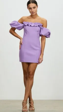 Lover Nicoletta Mini Dress Purple Size 8 for rent on The Volte - image 1