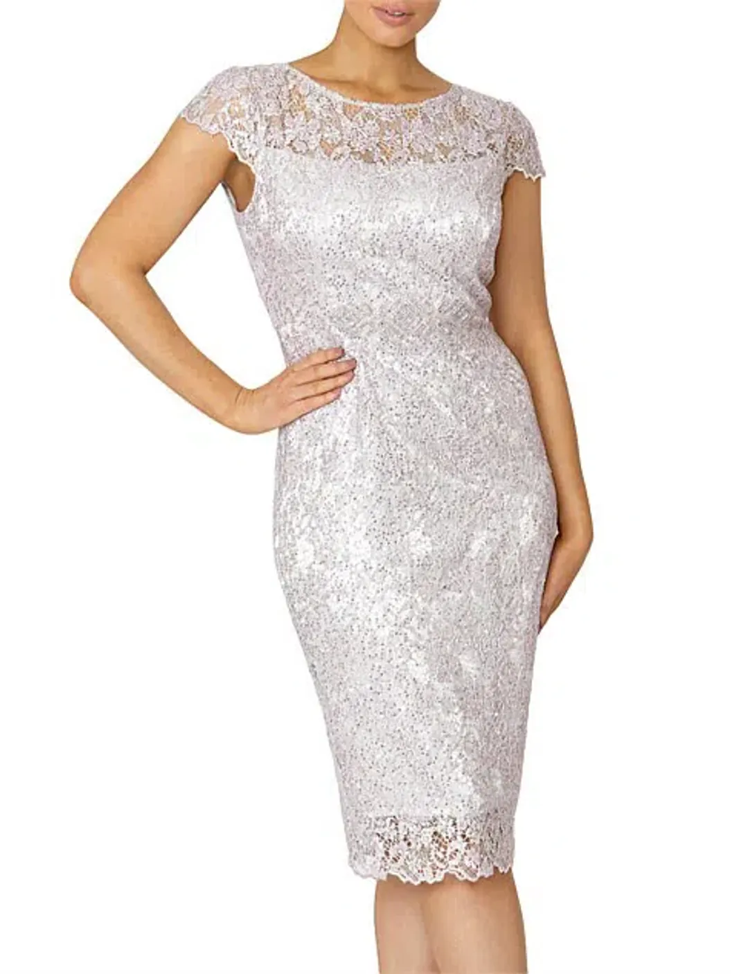 Anthea Crawford Venetia Sequin Lace Dress Dusk Pink Size 8 for rent on The Volte - main image