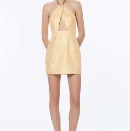 Manning Cartell Beyond Codes Mini Dress Gold Size 6 for rent on The Volte - image 1