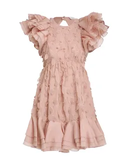 Zimmermann Dancer Frilled Mini Dress Blush Size 0/Au 8 for rent on The Volte - image 2