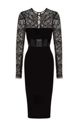 Alex Perry Mabelle Lace Long Sleeve Plastic & Satin Crepe Pencil Dress Black Size 6 for rent on The Volte - image 4