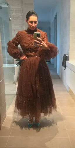 Zimmermann Tempo Ruched Glitter Tulle Gown Brown Size 2/ AU 12 for rent on The Volte - image 6