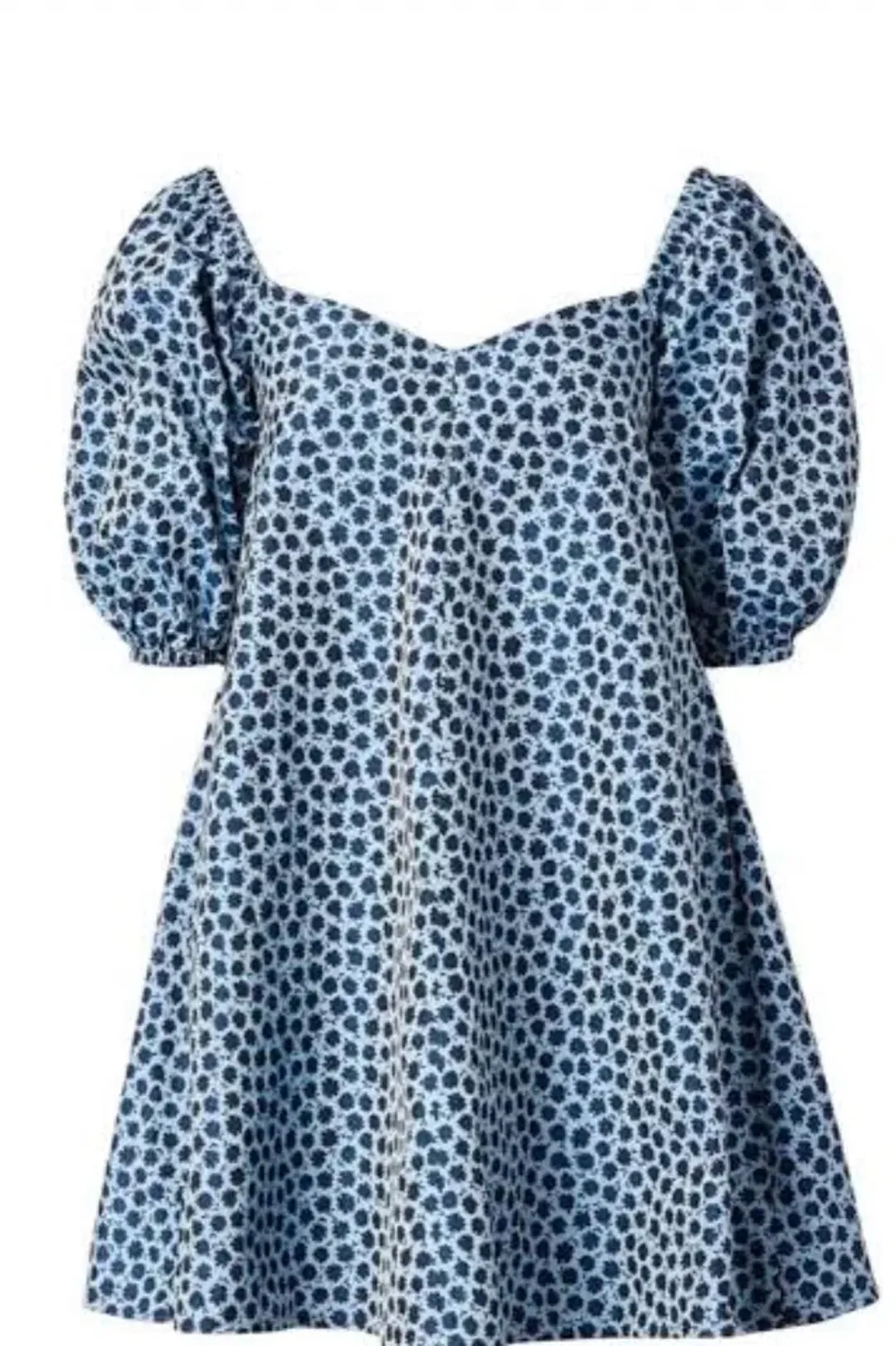 Scanlan Theodore Floral Trapeze Mini Dress Blue Size 6 for rent on The Volte - main image