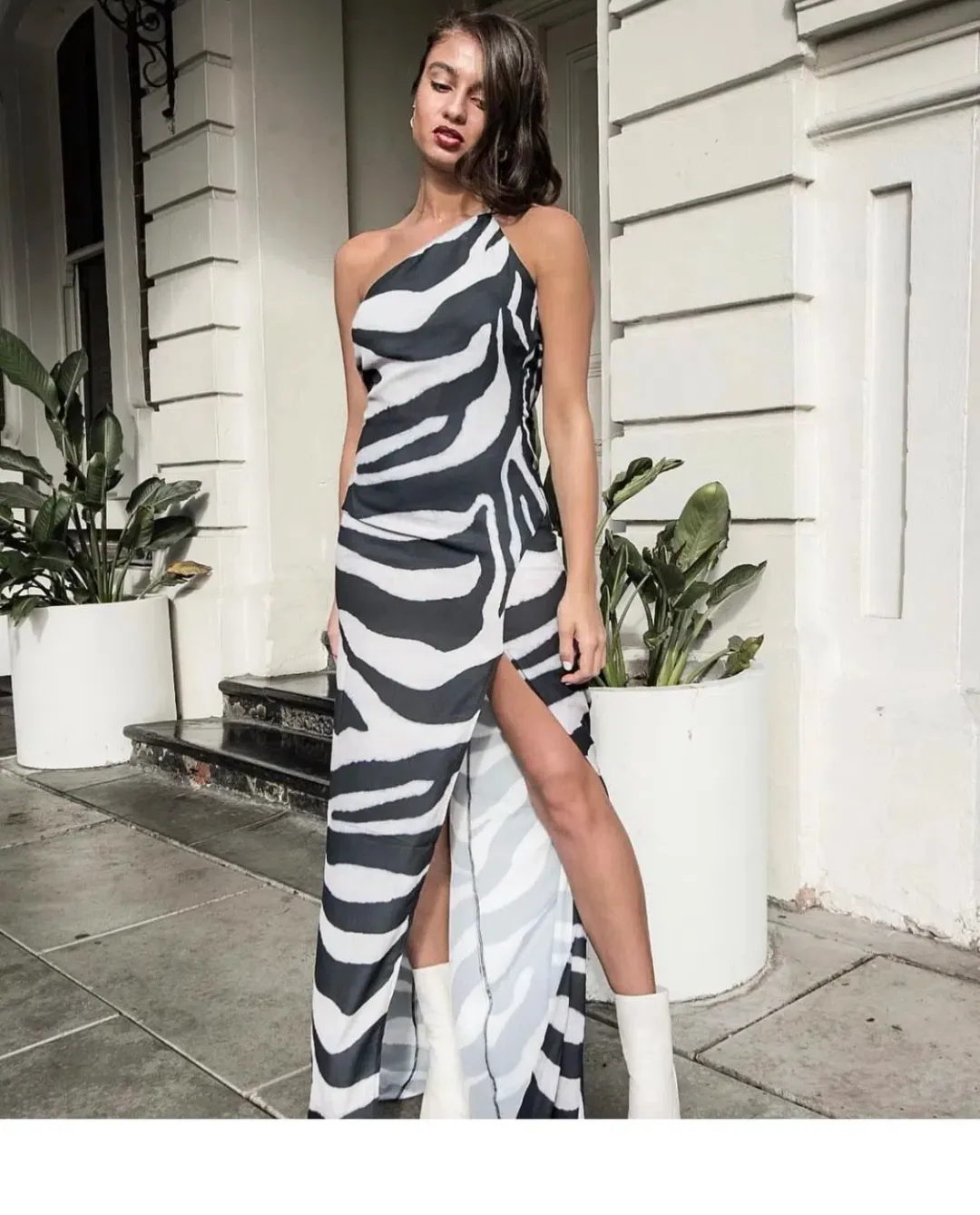 Derma Department Arielle Maxi Dress Zebra Print Size 10 for rent on The Volte - main image
