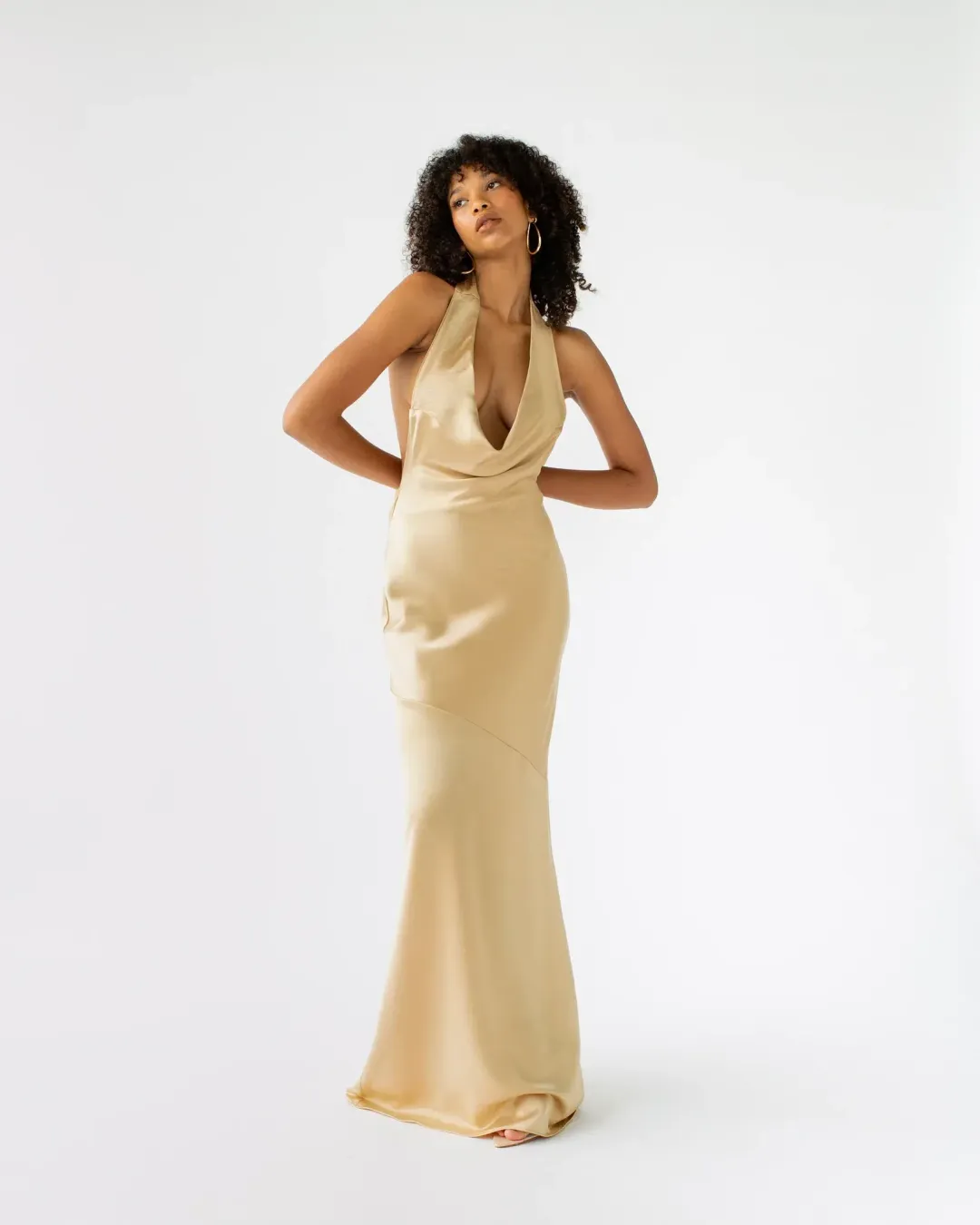Arcina Ori Daniella Gold Dress Gold Size XS/Au 6 for rent on The Volte - main image