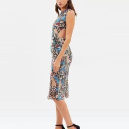 BRONX & BANCO BIRDS OF PARADISE MIDI DRESS size 10 for rent on The Volte - image 3