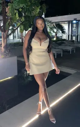 Dion Lee Laced Bonded Mini Dress Sahara Size 10 for rent on The Volte - image 4