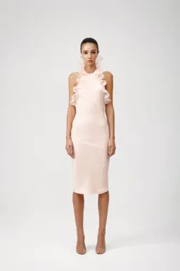 Lexi Chantal Dress Pink Size 8 for rent on The Volte - image 1