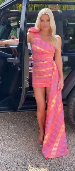 Eliya the Label Sabrina Dress Multi Size 14 for rent on The Volte - image 3