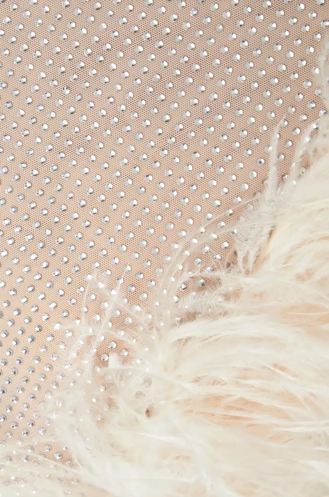 Leslie Amon Laurie Crystal-Embellished Feather-Trimmed Mini Dress Size S / AU 6-8 for rent on The Volte - main image