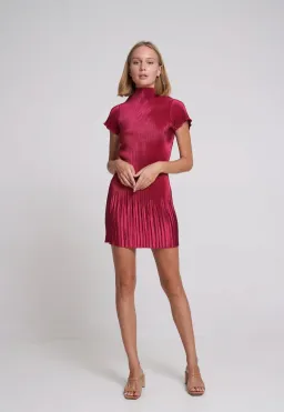 L'idée Aperitif Mini Dress in Ruby Red Size 12 / L for rent on The Volte - image 2