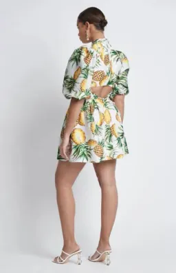 Sheike Pina Colada Mini Dress Multi Size 12 / L for rent on The Volte - image 3
