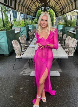 Rat & Boa Farretti Dress in Pink Size 6/XS for rent on The Volte - image 1