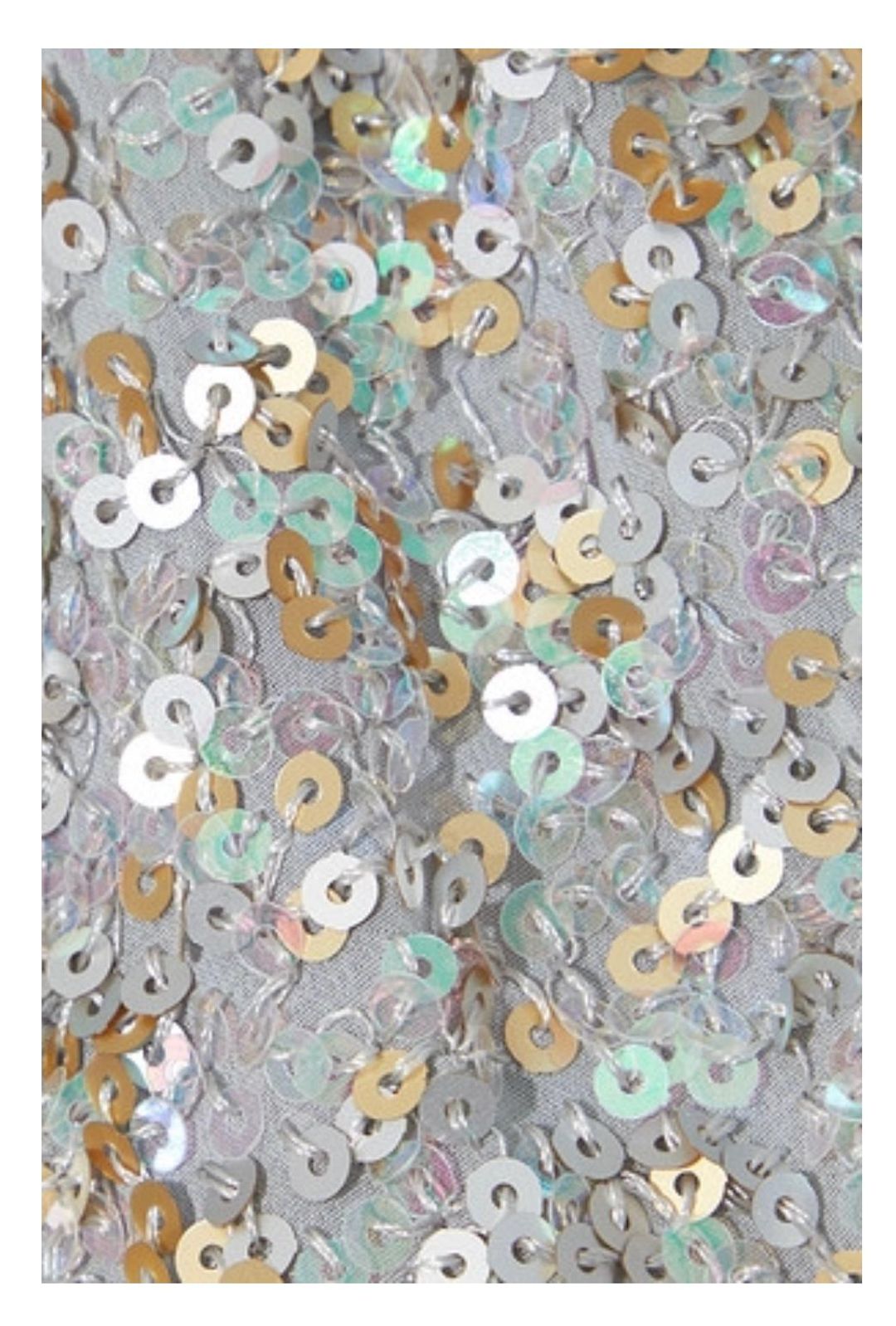 Anna Sui Asymmetric Sequin Embellished Chiffon Mini Dress Size 12 for rent on The Volte - main image