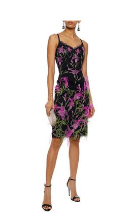 Marchesa Notte Feather Embellished Embroidered Tulle Dress Black Size 12 for rent on The Volte - image 1