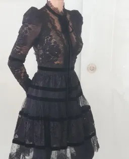 Elie Saab Velvet Trimmed Lace Mini Dress Black Size 6 for rent on The Volte - image 3