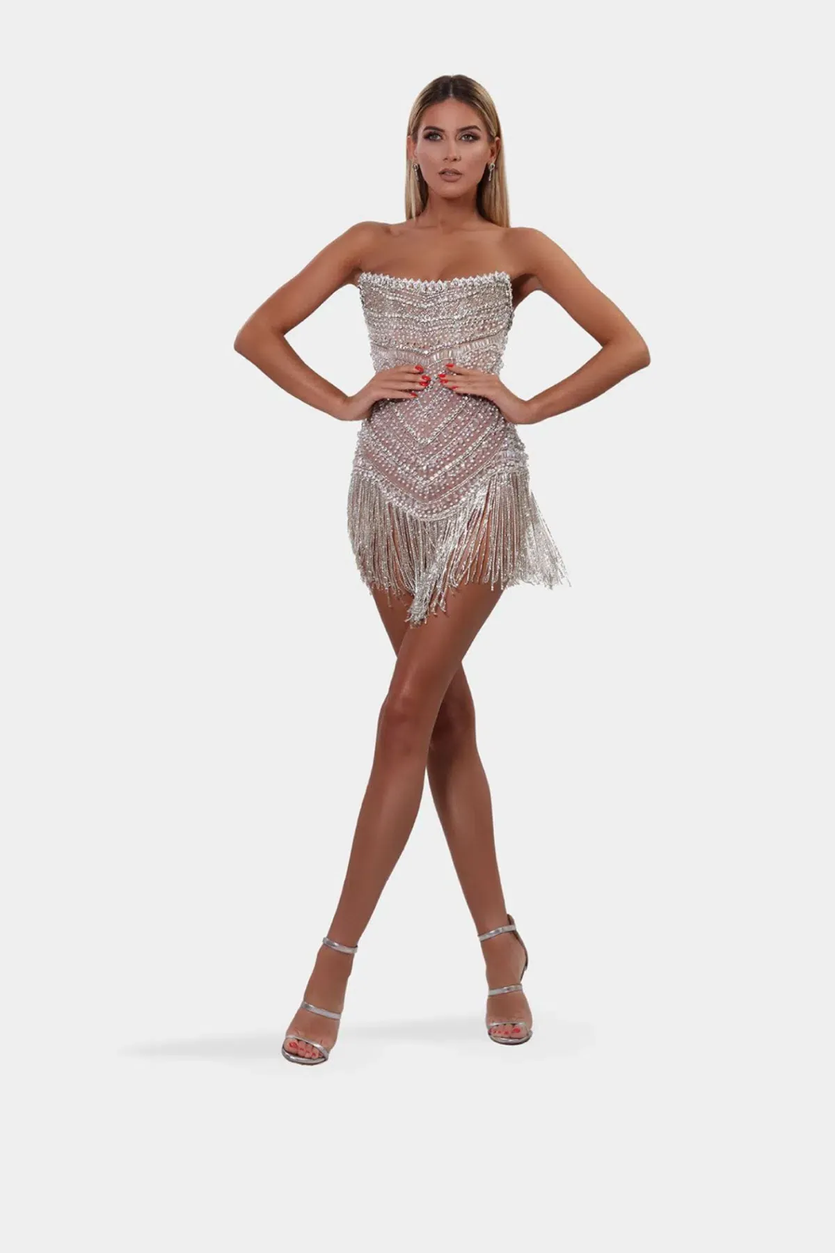 Albina Dyla Wild Corset Dress Silver/Nude Size 6 for rent on The Volte - main image