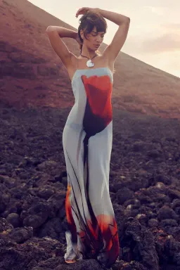 Rat & Boa Luciana Dress Multi Size small 8 for rent on The Volte - image 1