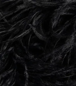 16Arlington Botley Madrid Crepe Mini Dress Black Feather-Trim Size 8 for rent on The Volte - image 4