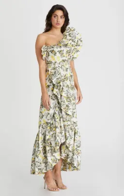 Aqua Blu Giselle Dress Clementine Print Size 10 for rent on The Volte - image 3